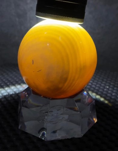 玉化硨磲