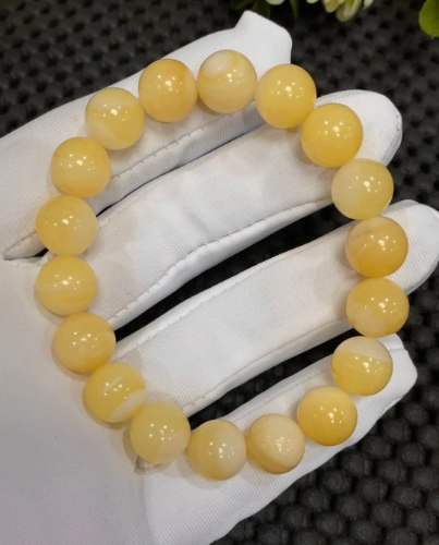 黃金硨磲