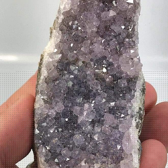 晶片