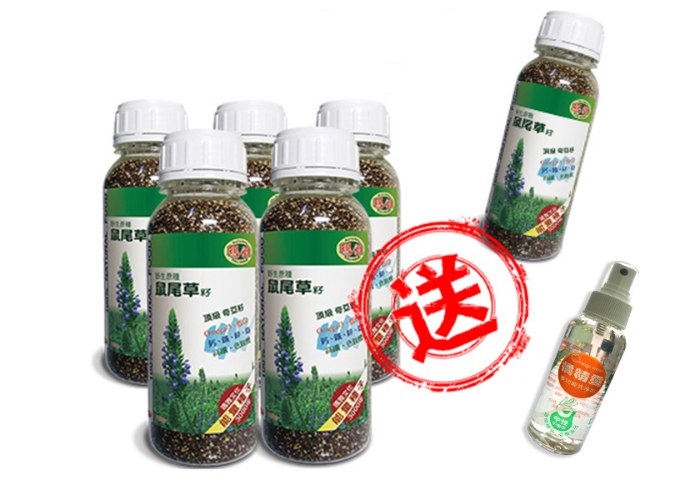 瑪雅鼠尾草籽(頂級奇亞籽)5入- 超值組