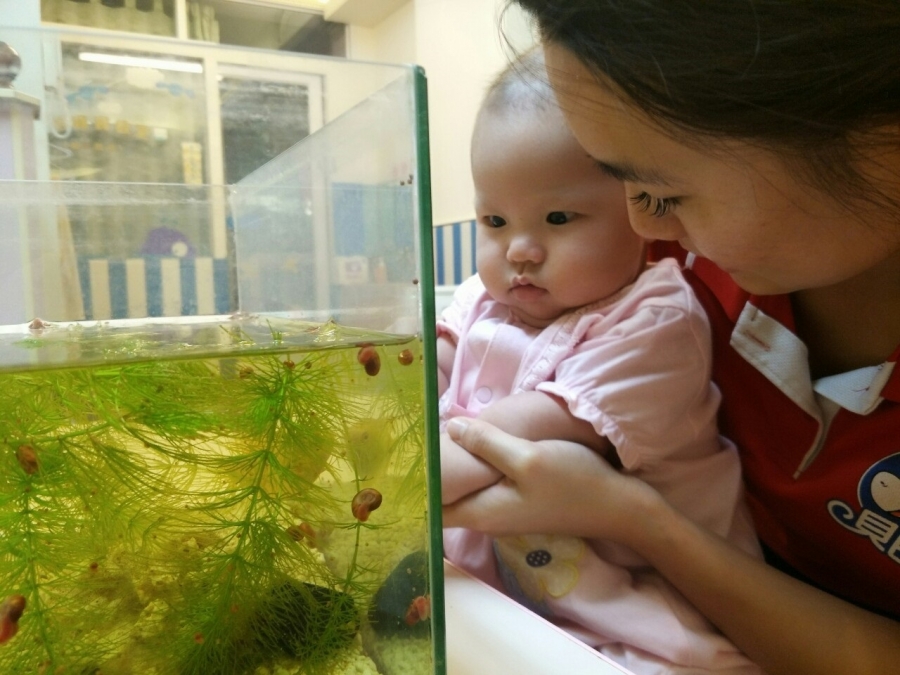 奇妙的水中生物