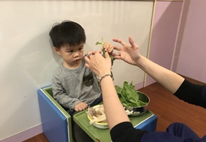 認識菇類及蔬菜