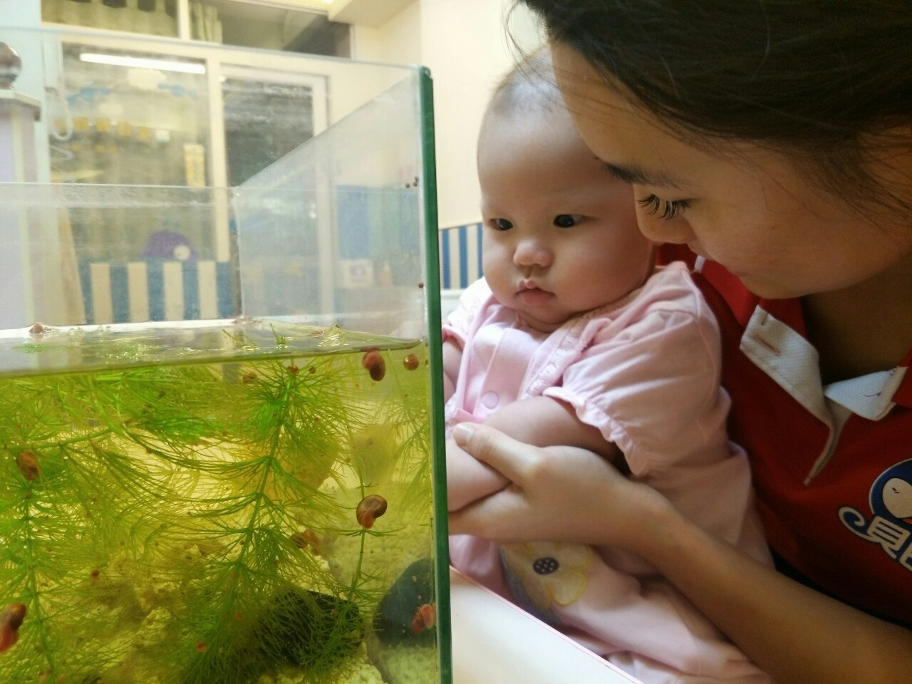 奇妙的水中生物