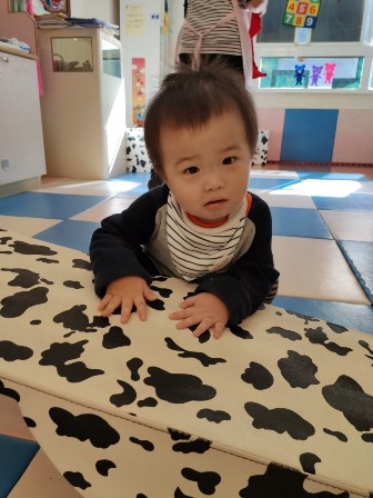 平衡蹺蹺板