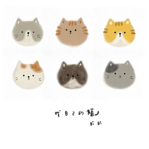 小貓認購圖
