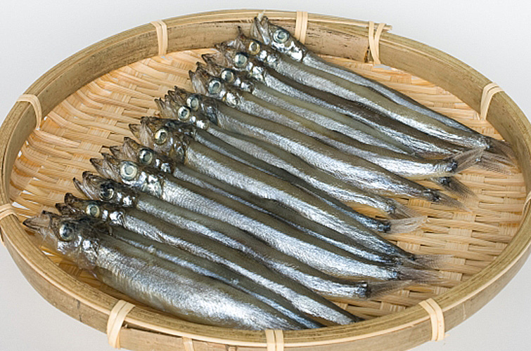 柳葉魚