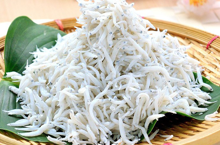 吻仔魚