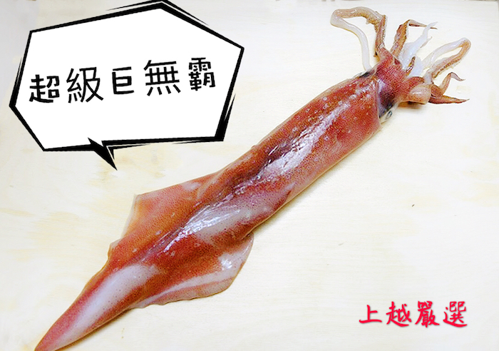 巨無霸棒球棍生凍大透抽