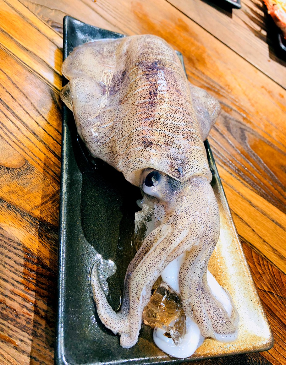 活凍軟絲