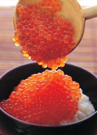 日本北海道頂級鮭魚卵