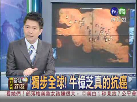 牛樟芝真的抗癌