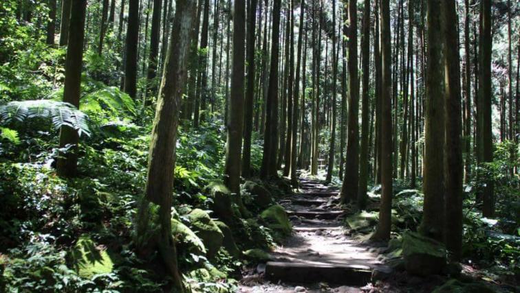 新竹關西樸食山坊美食餐廳 - 無菜單料理