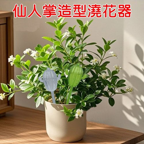 仙人掌滴管澆水器 1個