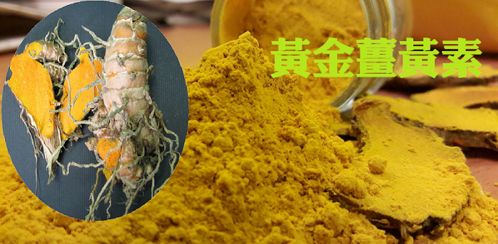 大自然草本 加強保健  專利水溶性黃金薑黃素Curcumin 480mg*60粒/罐