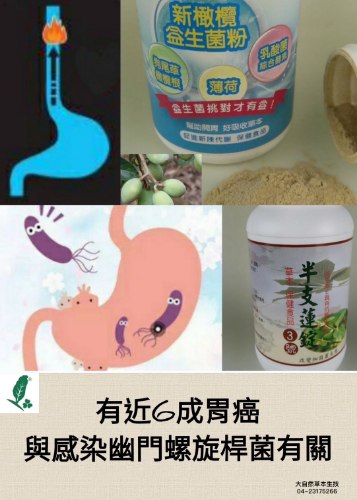 大自然草本  新橄欖益生菌粉/150g±10 /瓶