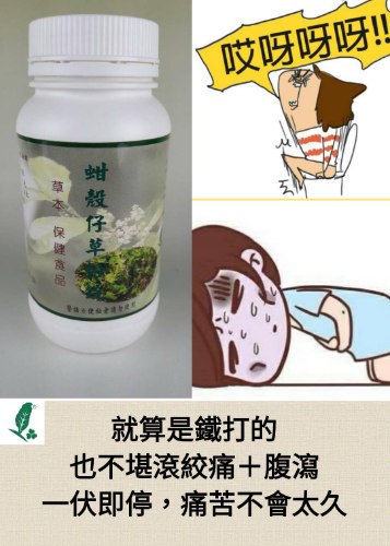 大自然草本 蚶殼仔草粉錠