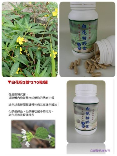 大自然草本 白花粉3號*270粒/罐本品促進新陳代謝