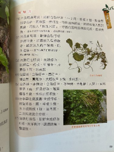 台灣中草藥圖鑑及驗方