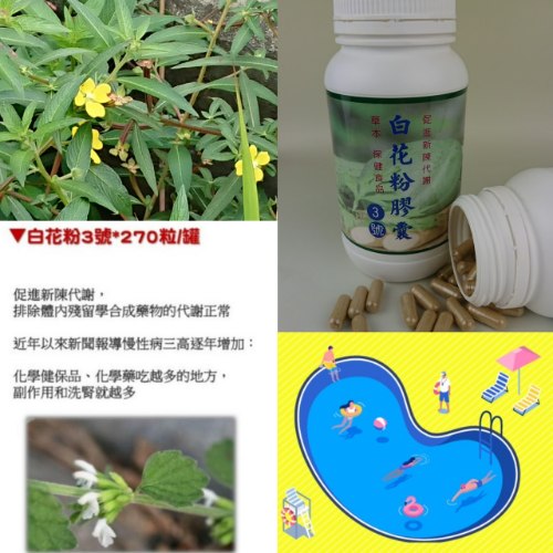 大自然草本 白花粉3號*270粒/罐本品促進新陳代謝