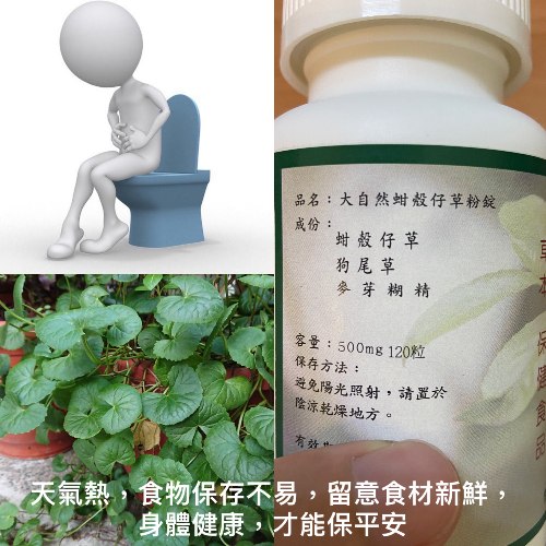 大自然草本 蚶殼仔草粉錠