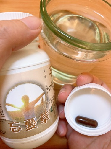 大自然 忘憂草 500mg/90粒/罐