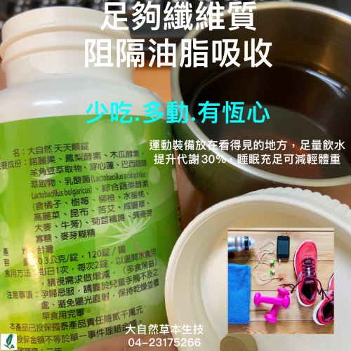 大自然草本 天天順錠 300mg/120粒/罐