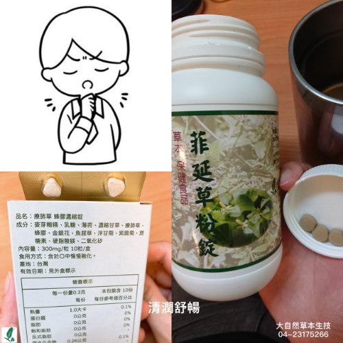 大自然草本 菲延草錠*270粒/罐
