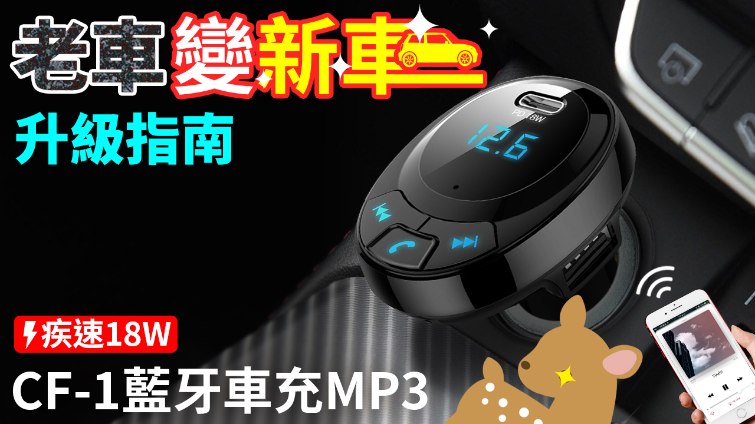 【Woori】PD18W 藍牙車充MP3