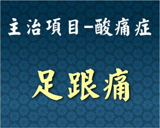 專門主治-泌尿內分泌-足跟痛