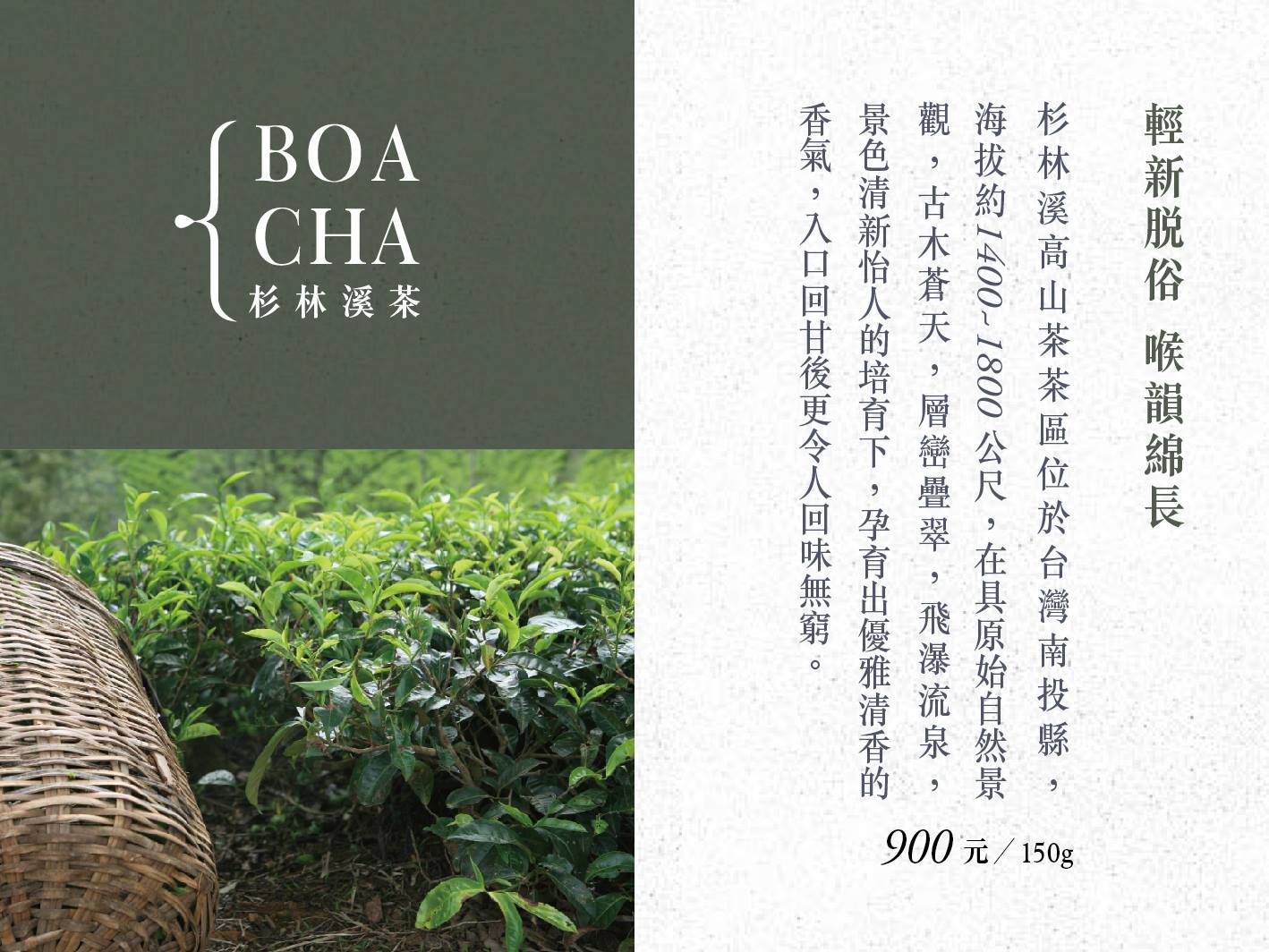 杉林溪茶(母親節特價9折)