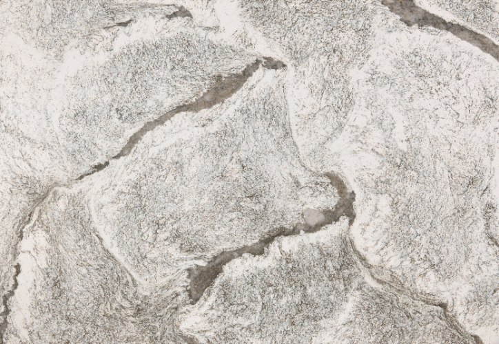 Leabridge™(限量在台現貨)