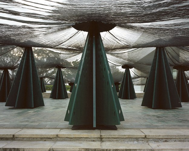 2024 北美館 X-SITE 林木林