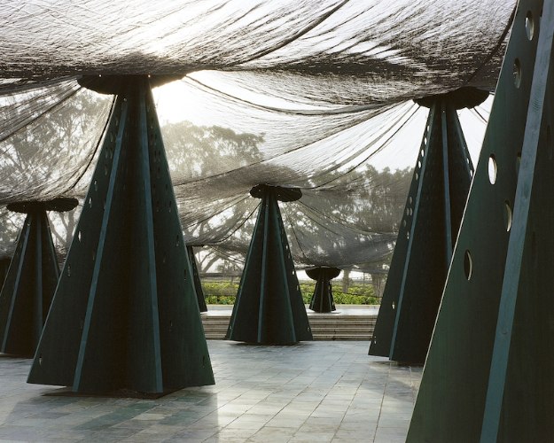 2024 北美館 X-SITE 林木林
