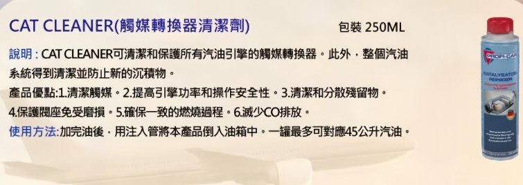 觸媒轉換器清潔劑