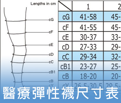 醫療彈性襪尺寸表