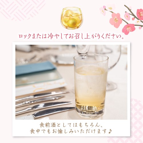 君乃井梅酒