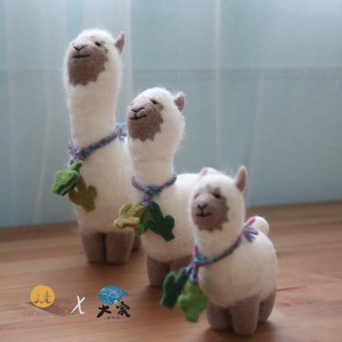 孩子的動物好朋友｜羊駝
