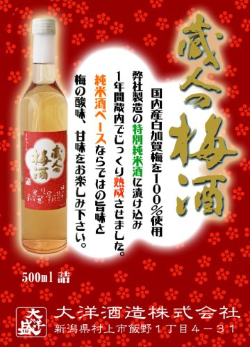大洋酒造 蔵人の梅酒