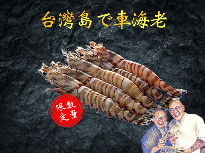 活凍宜蘭野生明蝦(大小混合)