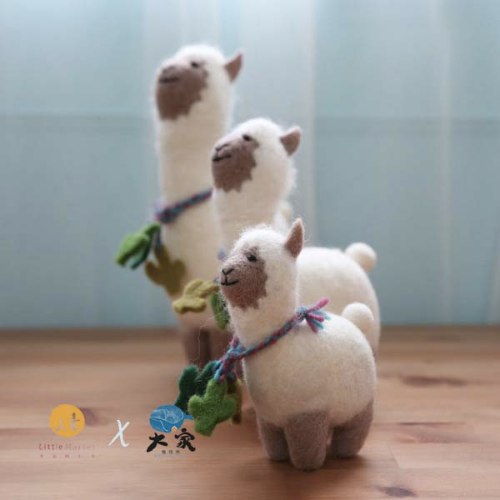 孩子的動物好朋友｜羊駝