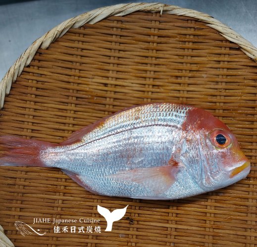 野生赤宗