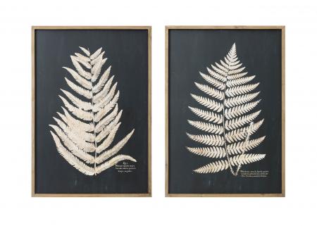 蕨類植物圖案木制掛畫(黑色)-兩款