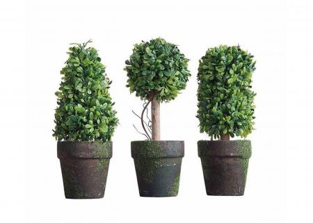 綠色植物小盆栽-三款