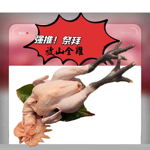 放山全雞
