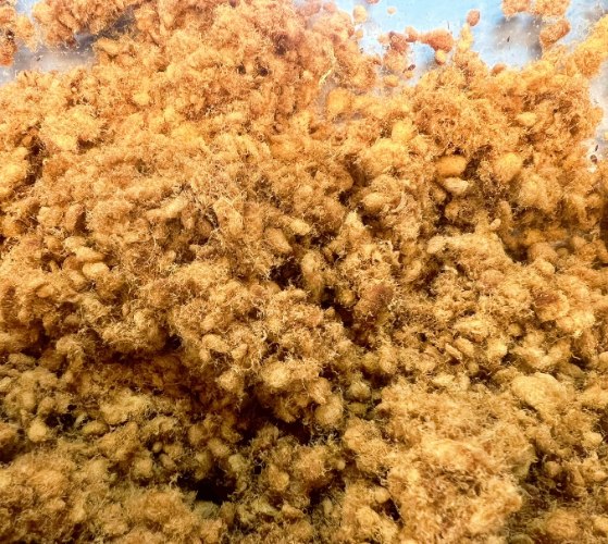 細肉鬆(200g)