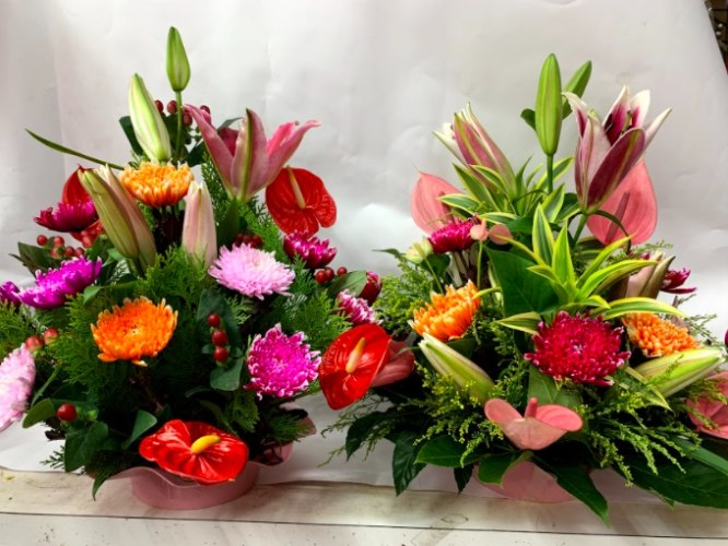 展場盆花