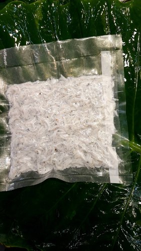 吻仔魚(260g)