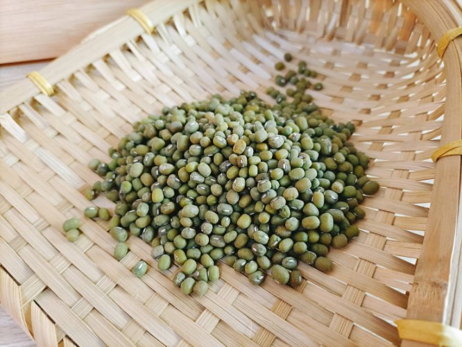 綠豆