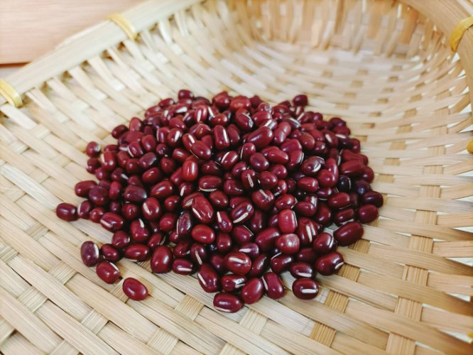 萬丹 紅豆