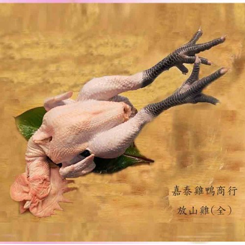 放山全雞